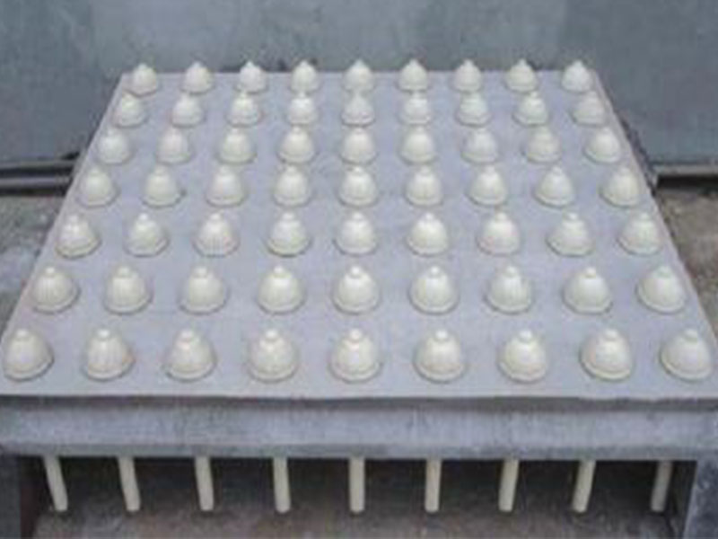 <b>BAF混凝土滤板</b>